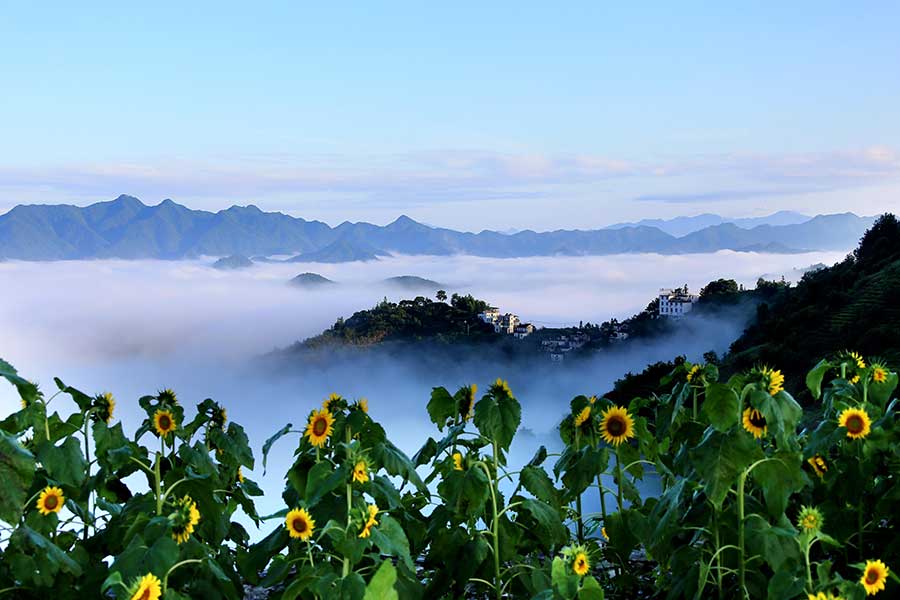 Beauty after the rain: Shitan scenic area on Mount Huangshan