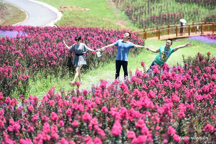 People enjoy flowers in Qijianghengshan valley