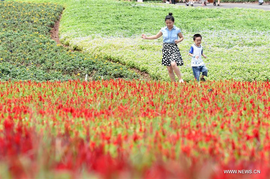 People enjoy flowers in Qijianghengshan valley