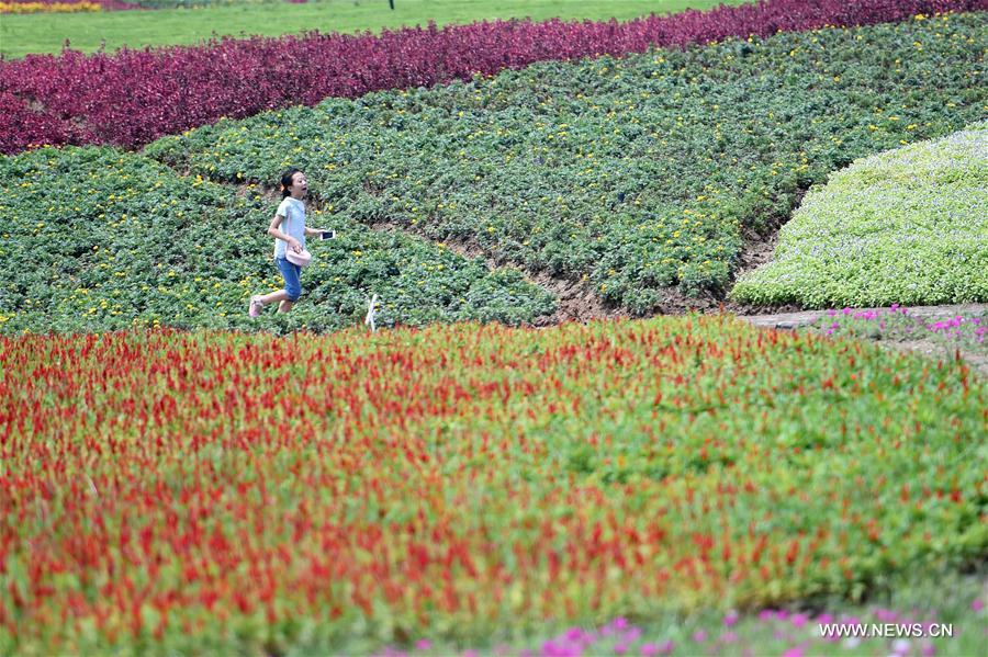 People enjoy flowers in Qijianghengshan valley