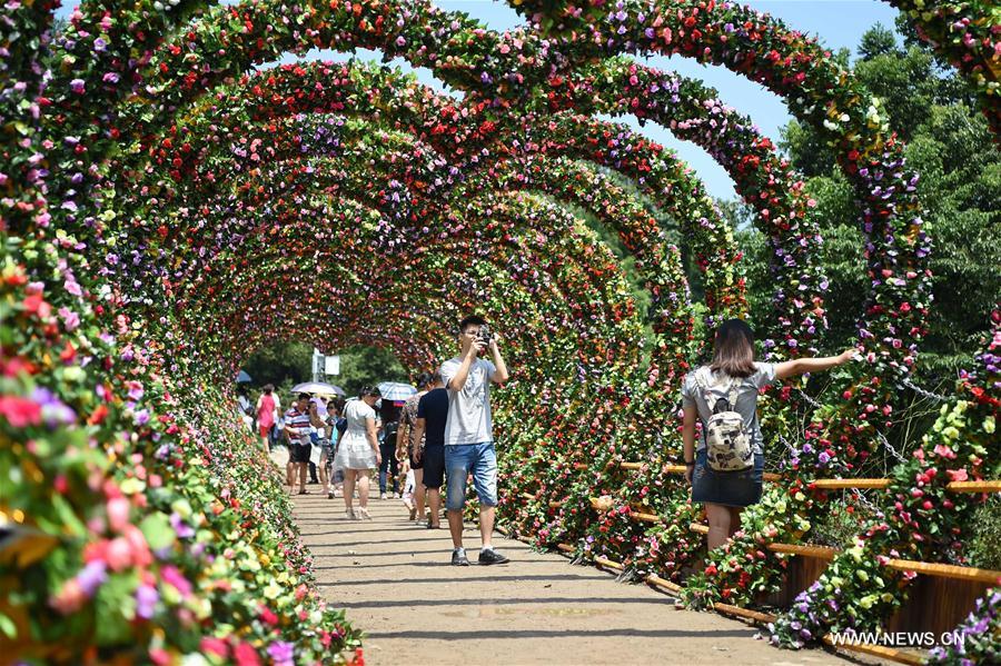 People enjoy flowers in Qijianghengshan valley