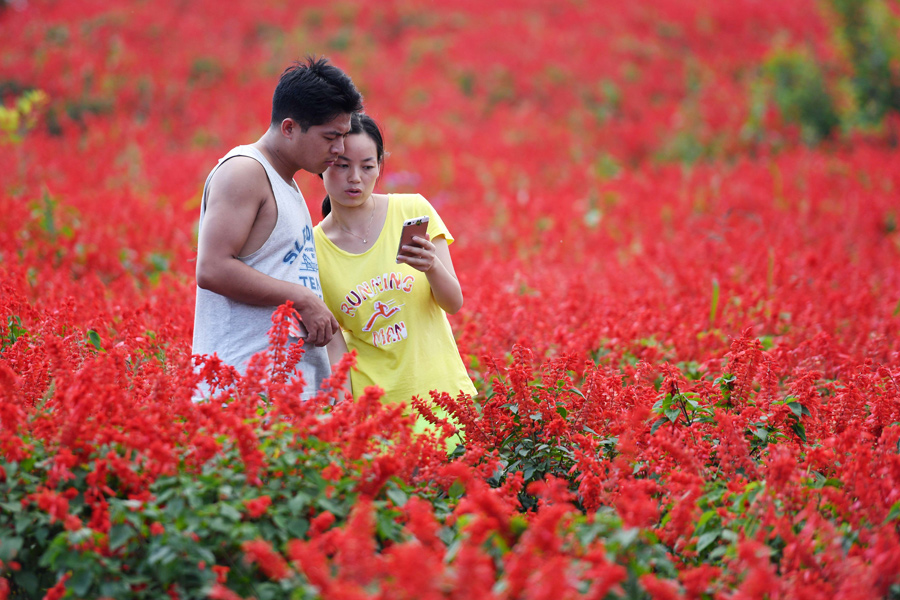Flowers turn Beijing suburbs into riot of colors