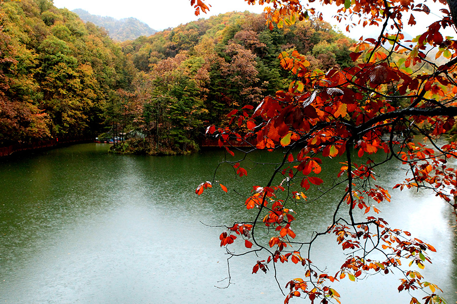 Autumn colors in Baiyunshan scenic area in Henan
