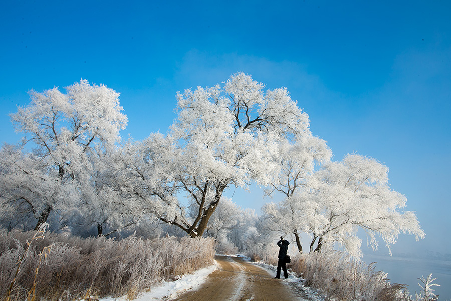 Rime creates a stunning winter scene in Jilin