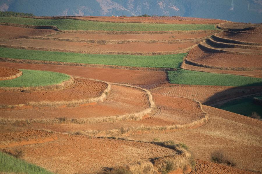 Scenery of red earth terraces in SW China's Kunming