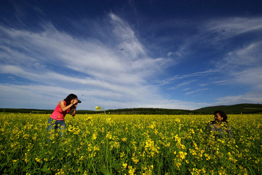 10 places to enjoy canola flowers in China