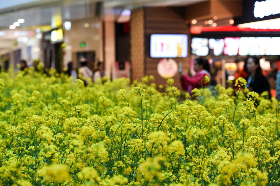 Mall brings spring scenery indoor to attract consumers