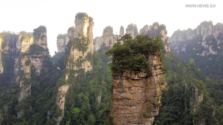 Scenery of Zhangjiajie national forest park in C China