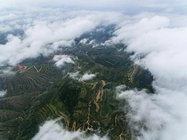 Sea of clouds dazzle Zhongtiao Mountain in N China