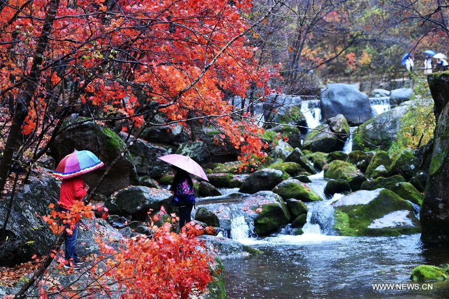 Autumn scenery in NE China's Liaoning