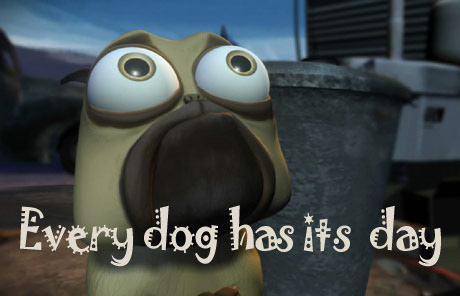 Every dog has its day