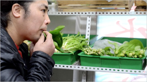 Beijing People 3: The Veggie Musicians