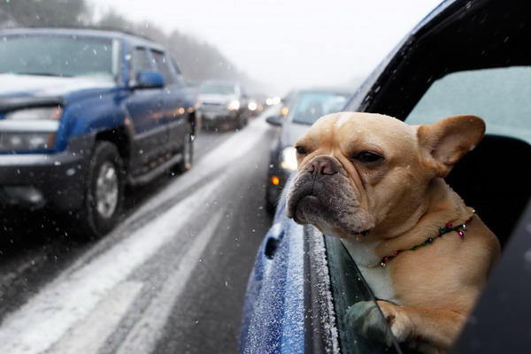 Snowstorm hits US East Coast