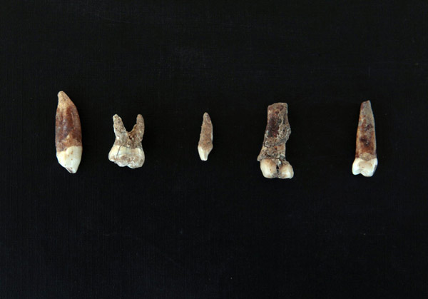 Ancient human remains found in Israel