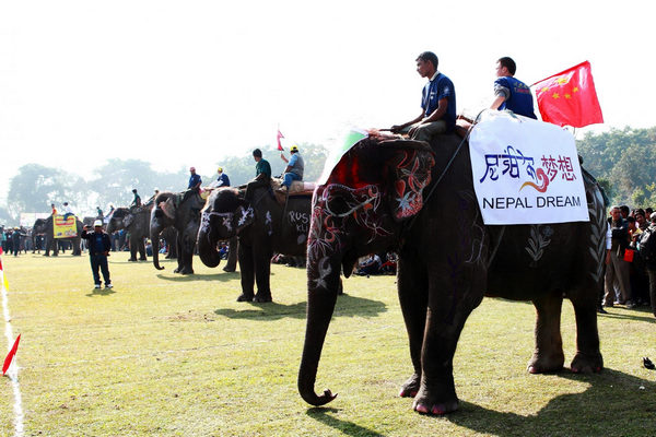 Elephant race in Nepali festival