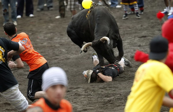 Fighting the bull