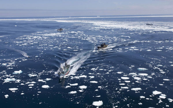 Japanese whalers, activists clash off Antarctica