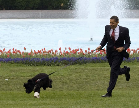 Woman who trained Obama family dog Bo dies