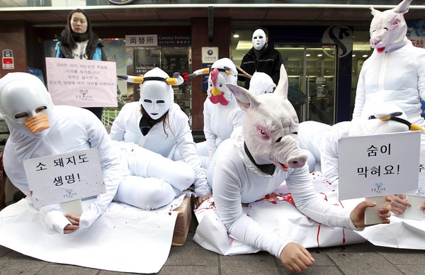 Aminal lovers mourn animals culled FMD prevention