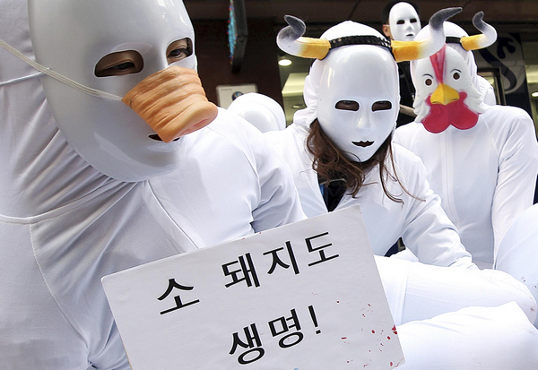 Aminal lovers mourn animals culled FMD prevention