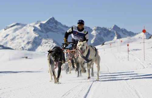 Sled dog racing in the Pyrenees mountains