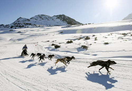 Sled dog racing in the Pyrenees mountains