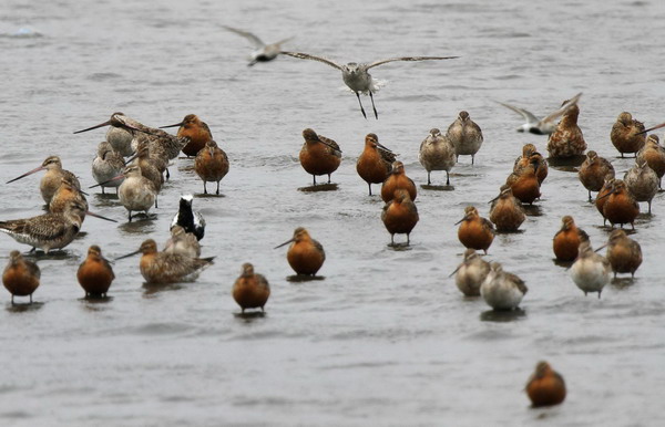 Snapshots: the world in 24 hours May 5, 2011