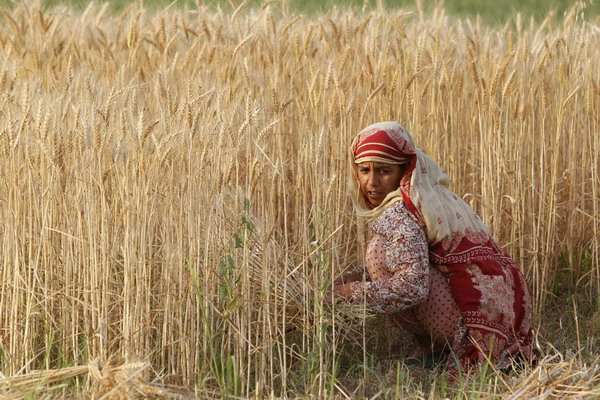 Snapshots: the world in 24 hours May 5, 2011