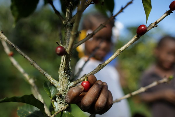 Snapshots: the world in 24 hours, May 21, 2011