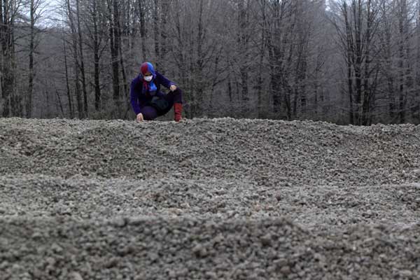 Volcano's fallen ash carpets the land