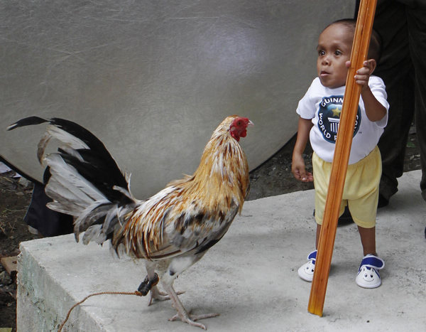 Filipino set to be named world's shortest man