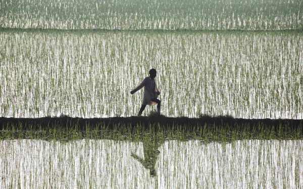 Snapshots: the world in 24 hours, July 5