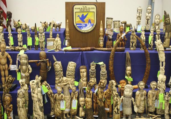 Smuggled ivory artifacts seized in US
