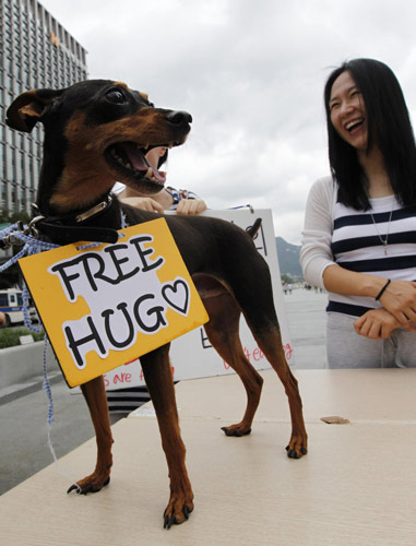 Seoul activists: Dogs are friends, not food
