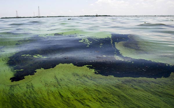 Black specter in Venezuelan lake