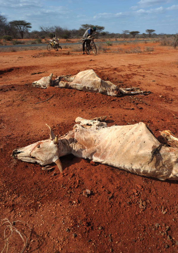Savage drought grips Africa