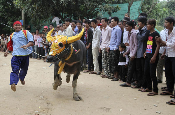 Buffalo-racing ceremony