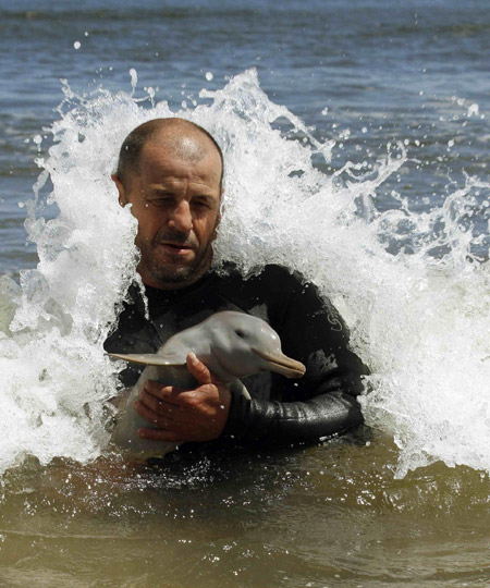 Baby dolphin rescued