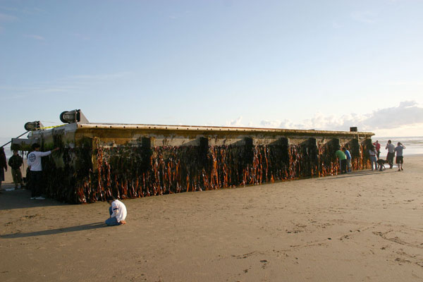 Dock from Japan tsunami washes up on Oregon beach