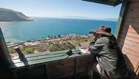 Shark Spotters to the rescue