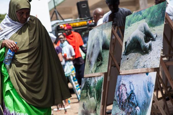 Kenyans protest against poaching of elephants and rhinos