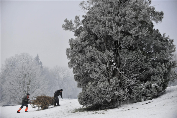 Beautiful rime scenery in Brussels