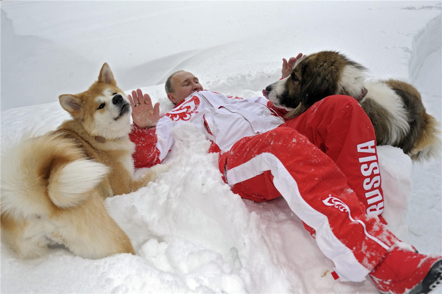 Putin plays with dogs on the snow
