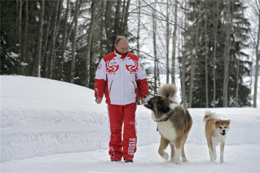 Putin plays with dogs on the snow