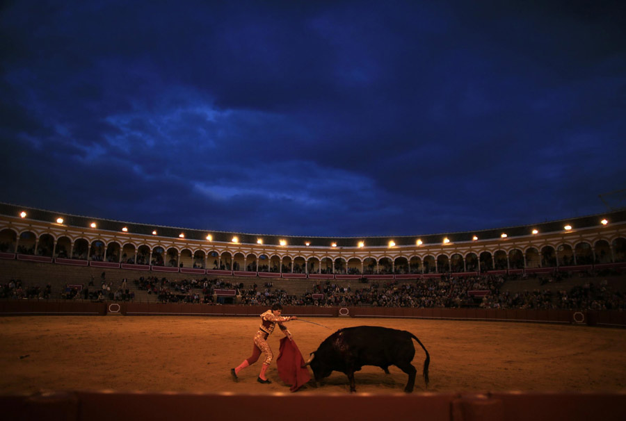 Bullfight, a tradition of Spain