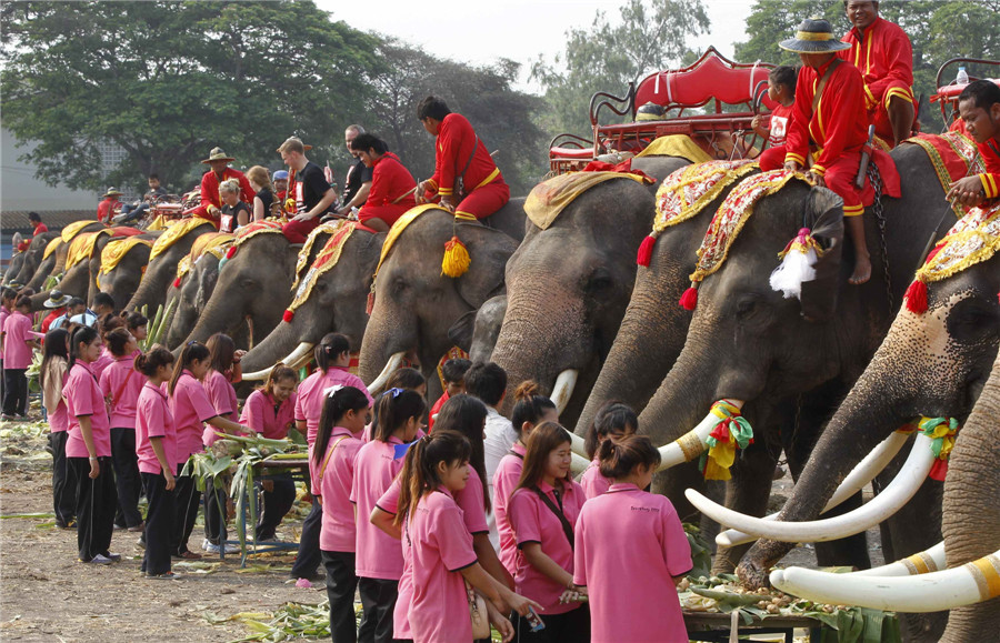 National Elephant Day 2024 Thailand Meta Emlynne