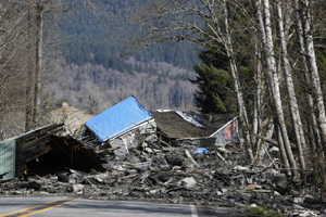 US mudslide death toll climbs to 14, 176 missing