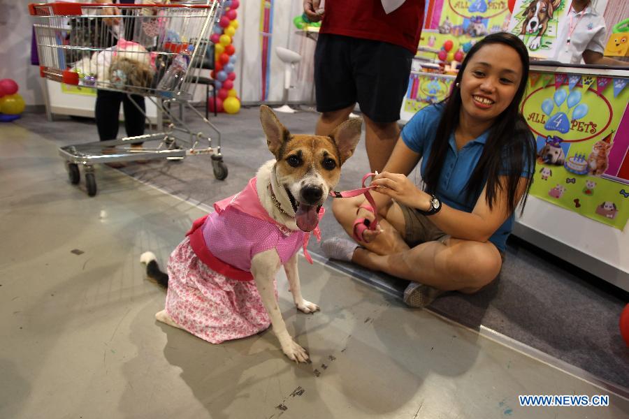 Dog and Cat Expo held in the Philippines