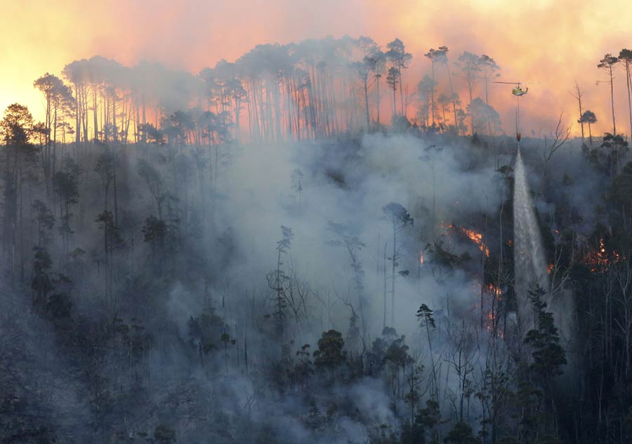 Cape Town ravaged by bushfire