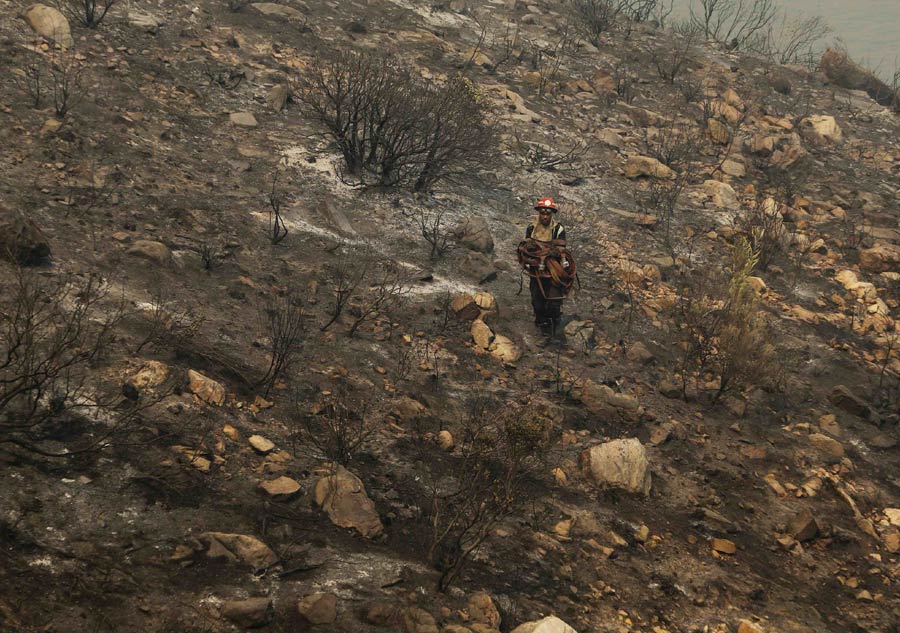 Cape Town ravaged by bushfire